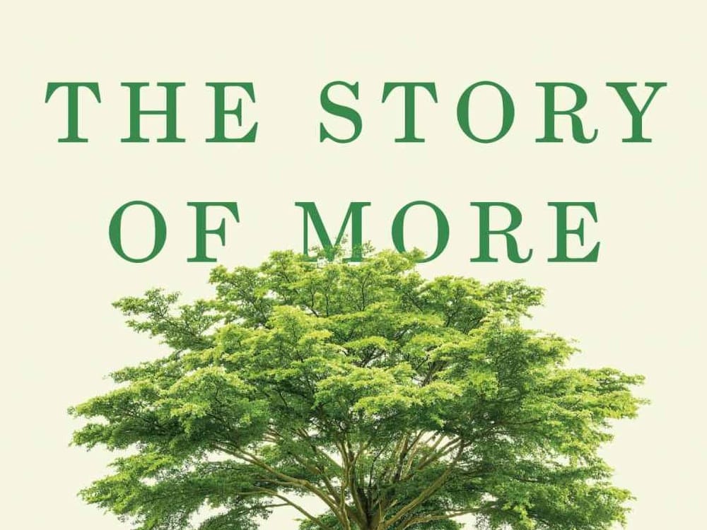 The Story of More