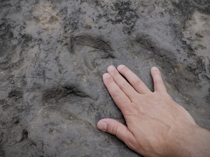 My hand inside a smaller dinosaur footprint