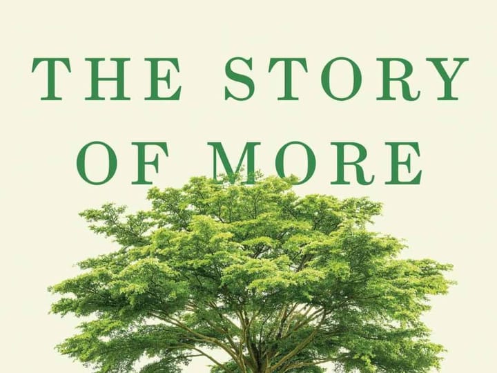 The Story of More